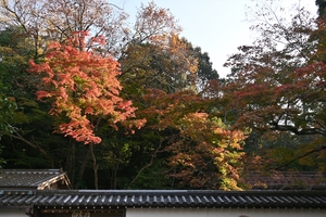 南禅寺019.JPG