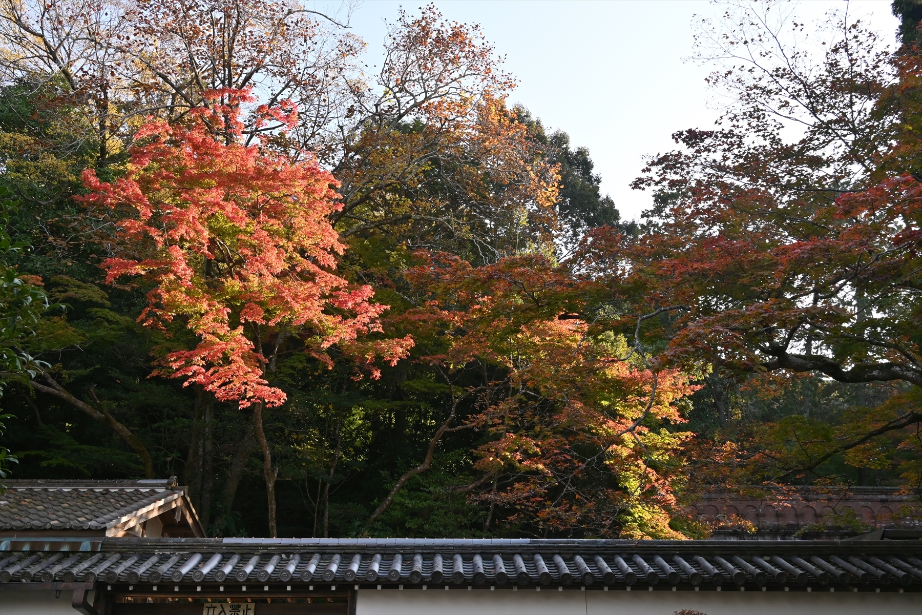 南禅寺019.JPG