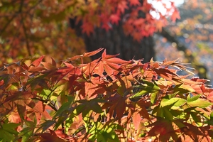 南禅寺015.JPG