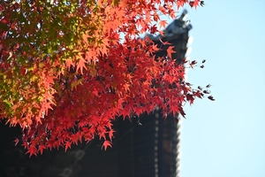 南禅寺008.JPG