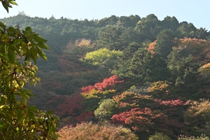 善峯寺073.JPG