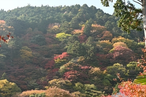 善峯寺072.JPG