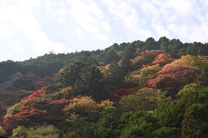 善峯寺060.JPG