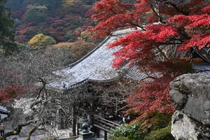 善峯寺051.JPG