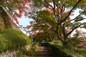 善峯寺046.JPG