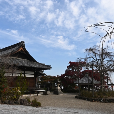 善峯寺043.JPG
