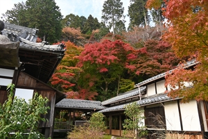 善峯寺041.JPG