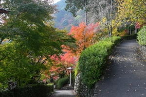 善峯寺032.JPG