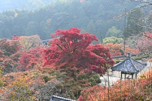 善峯寺030.JPG