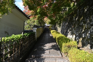 善峯寺015.JPG