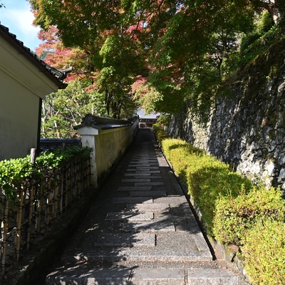 善峯寺015.JPG