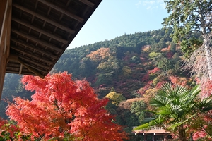 善峯寺008.JPG