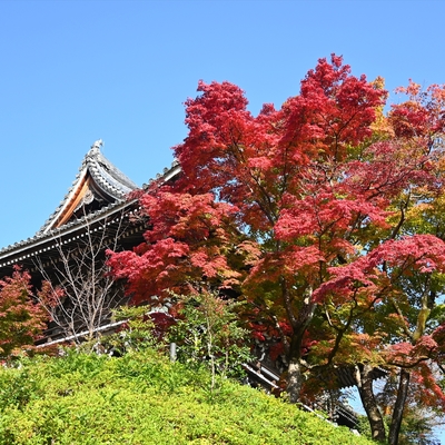 善峯寺003.JPG