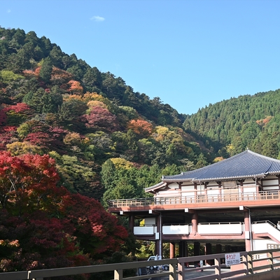 善峯寺002.JPG