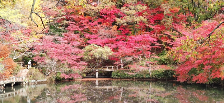 神戸森林植物園　ベスト-1.jpg