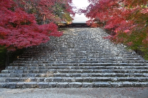 神護寺057.JPG