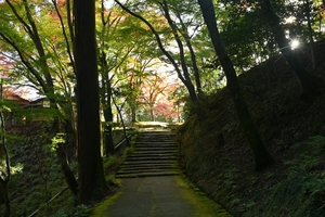 神護寺056.JPG