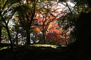 神護寺055.JPG