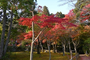 神護寺048.JPG