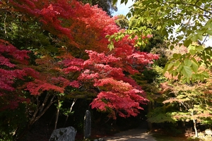 神護寺044.JPG