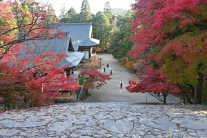 神護寺043.JPG