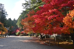 神護寺034.JPG