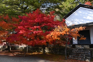 神護寺033.JPG