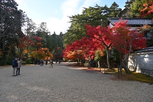 神護寺031.JPG