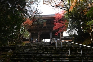 神護寺030.JPG