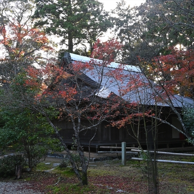 神護寺003.JPG