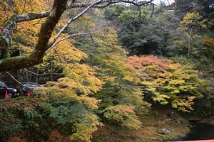 西明寺_(100).JPG