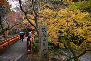 西明寺_(99).JPG