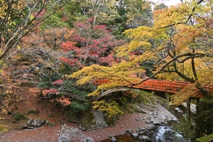 西明寺_(89).JPG