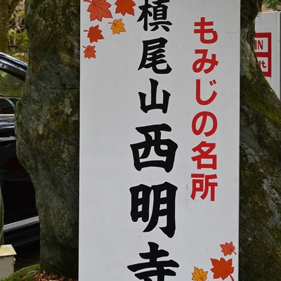 西明寺_(88).JPG