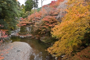 西明寺_(87).JPG