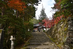 西明寺_(81).JPG