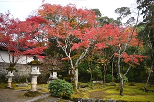 西明寺_(79).JPG