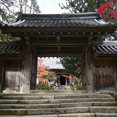 西明寺_(78).JPG