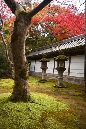 西明寺_(75).JPG