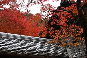 西明寺_(60).JPG