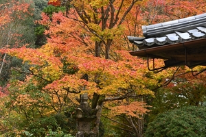 西明寺_(55).JPG