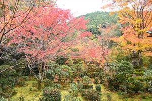 西明寺_(53).JPG