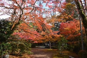 西明寺_(36).JPG