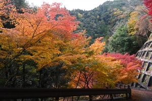 西明寺_(33).JPG