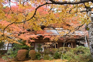 西明寺_(28).JPG