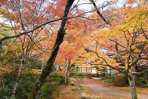 西明寺_(23).JPG