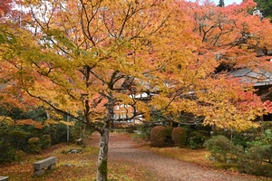 西明寺_(22).JPG