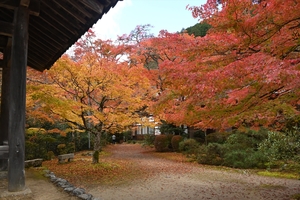 西明寺_(21).JPG