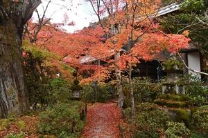 西明寺_(20).JPG