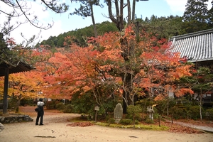 西明寺_(16).JPG